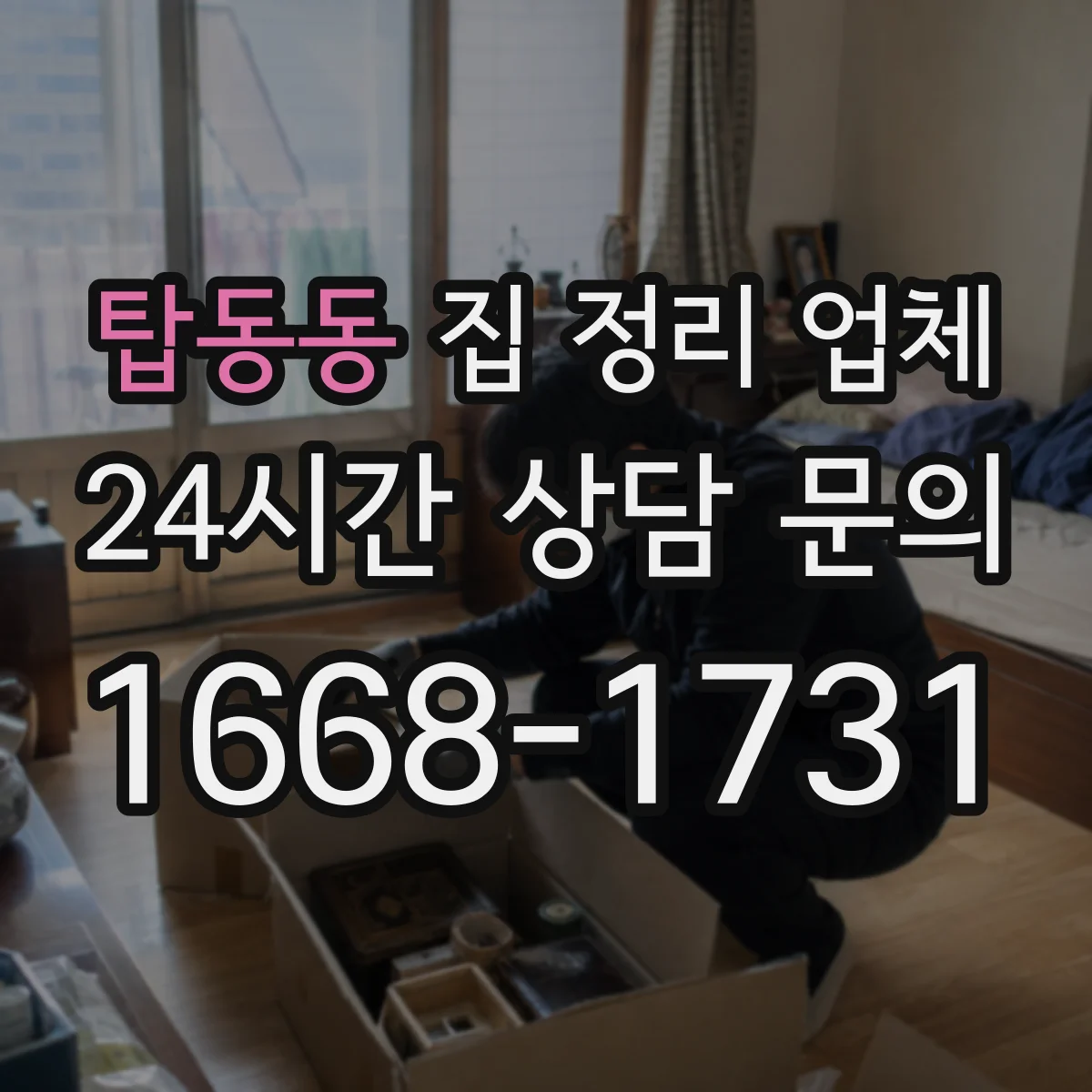 탑동동 집 정리 업체