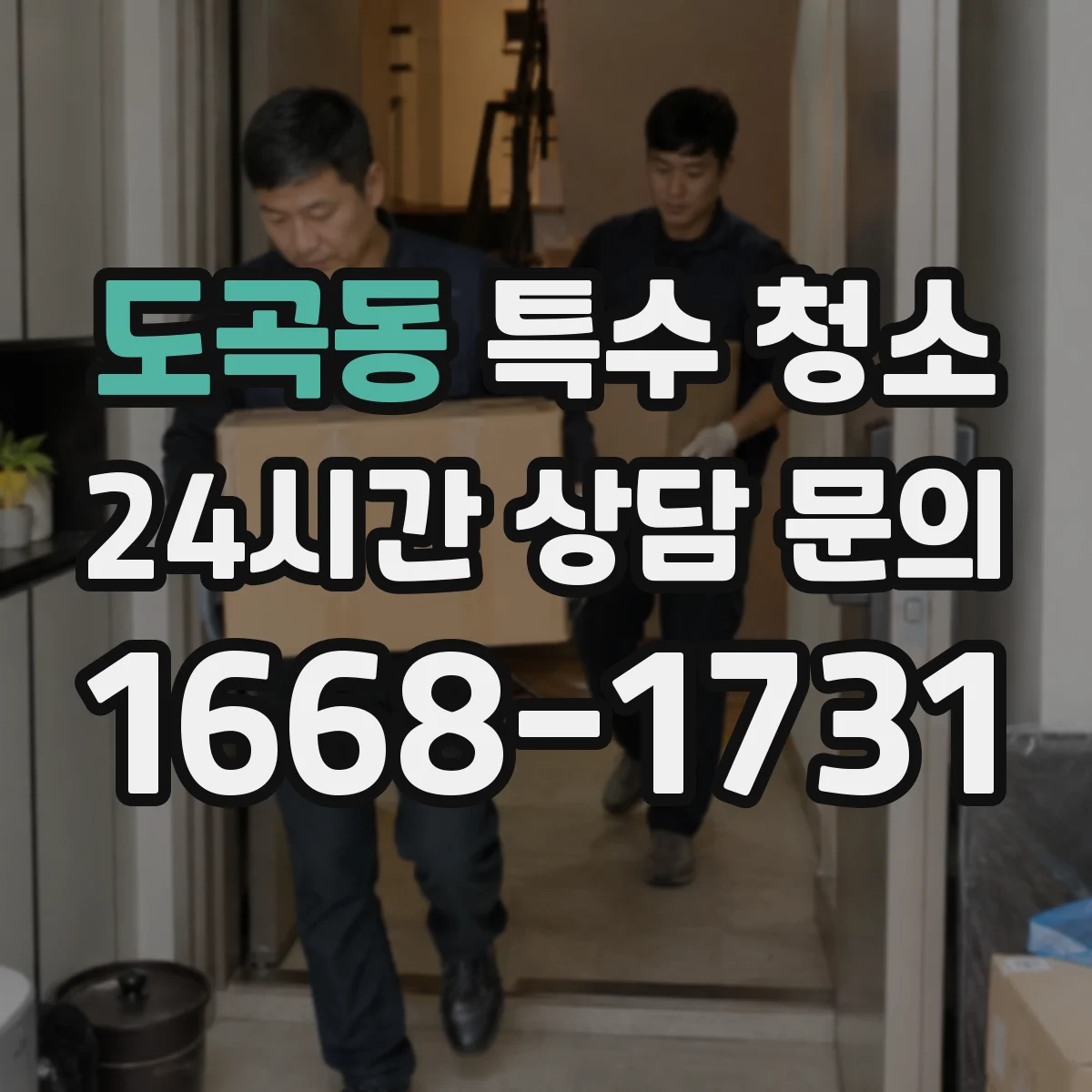 도곡동 특수 청소