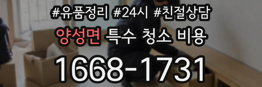 양성면 특수 청소 비용