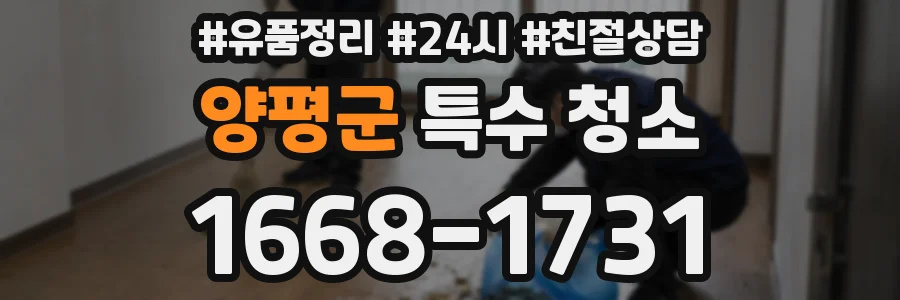양평군 특수 청소