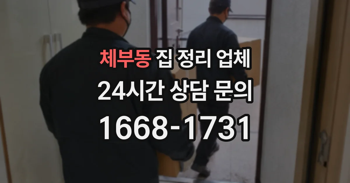 체부동 집 정리 업체