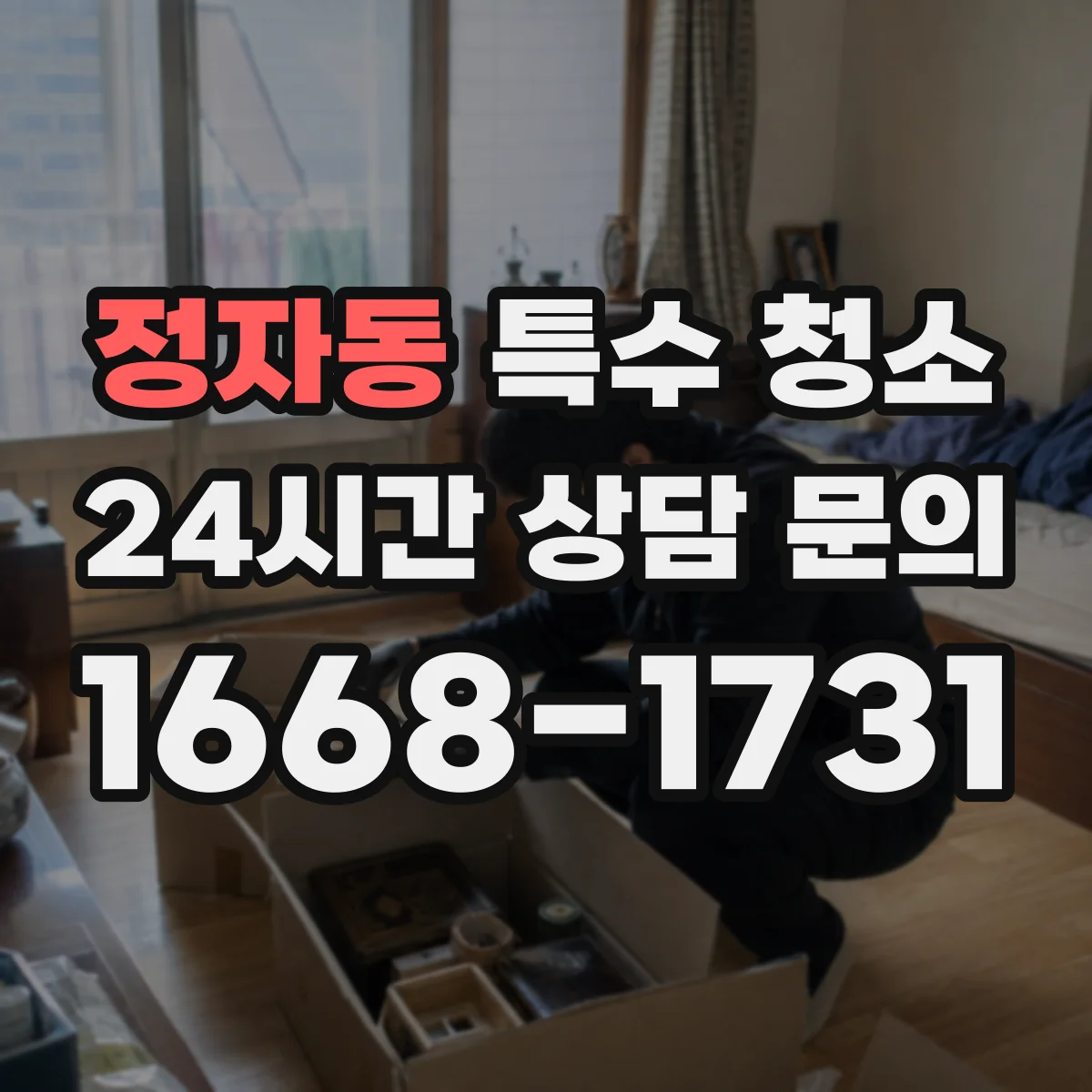 정자동 특수 청소