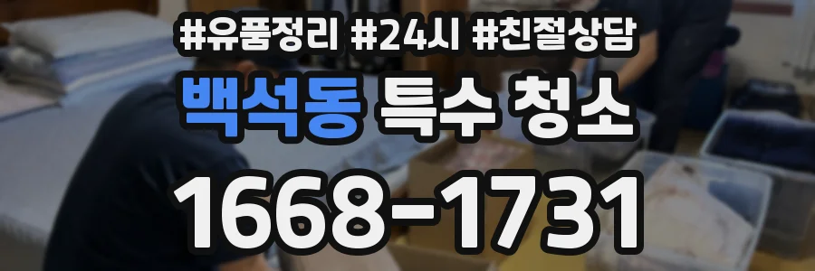 백석동 특수 청소