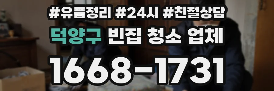 덕양구 빈집 청소 업체