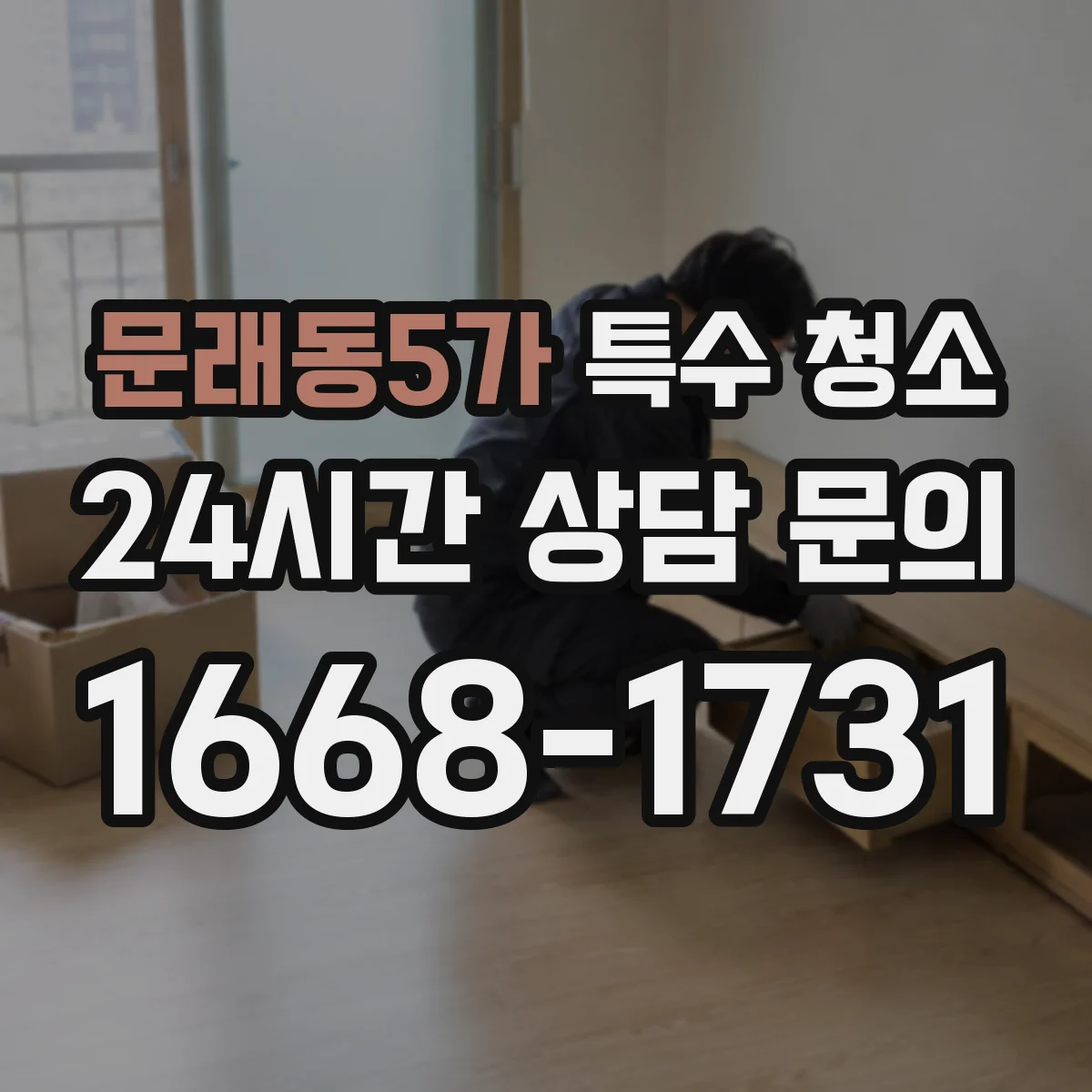문래동5가 특수 청소