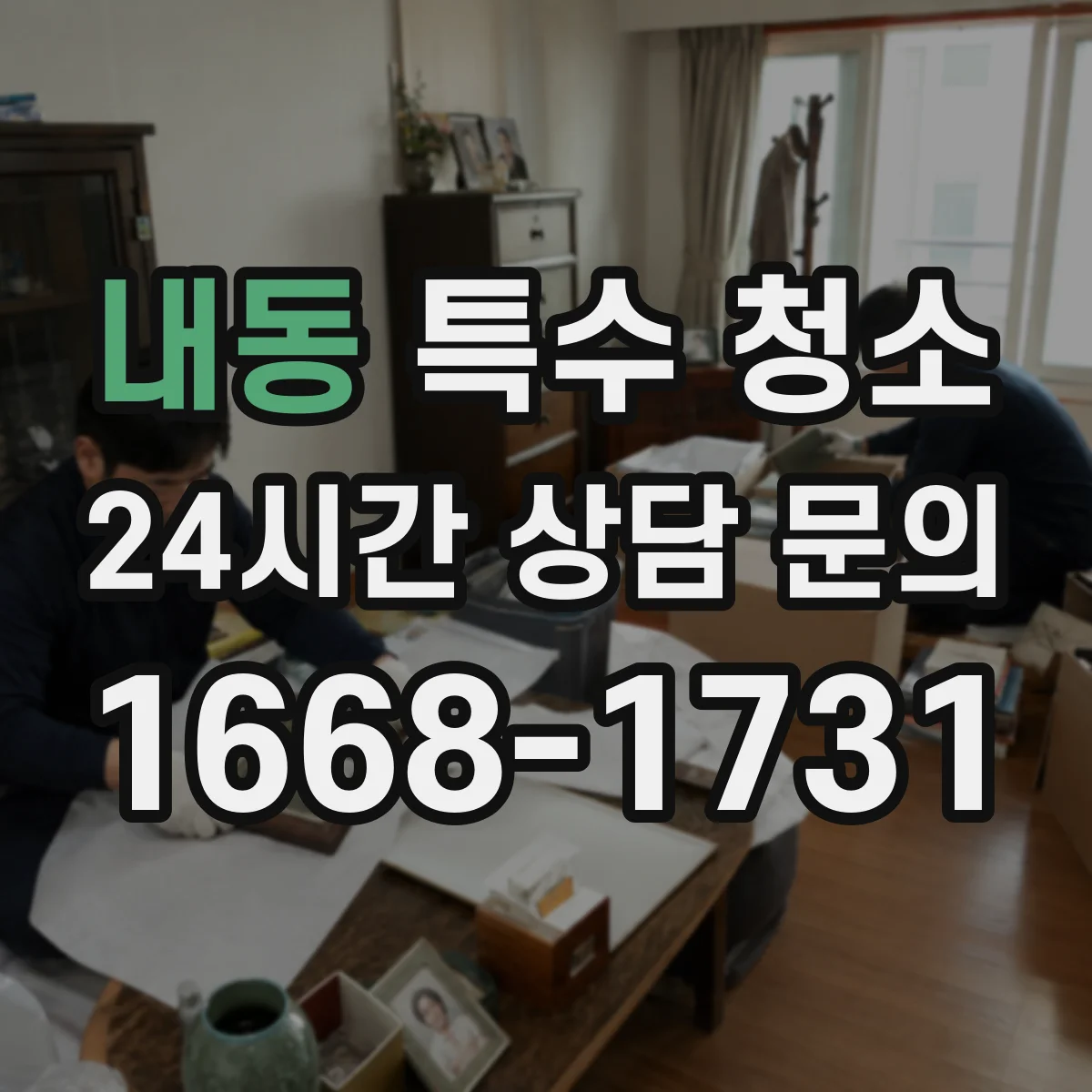 내동 특수 청소
