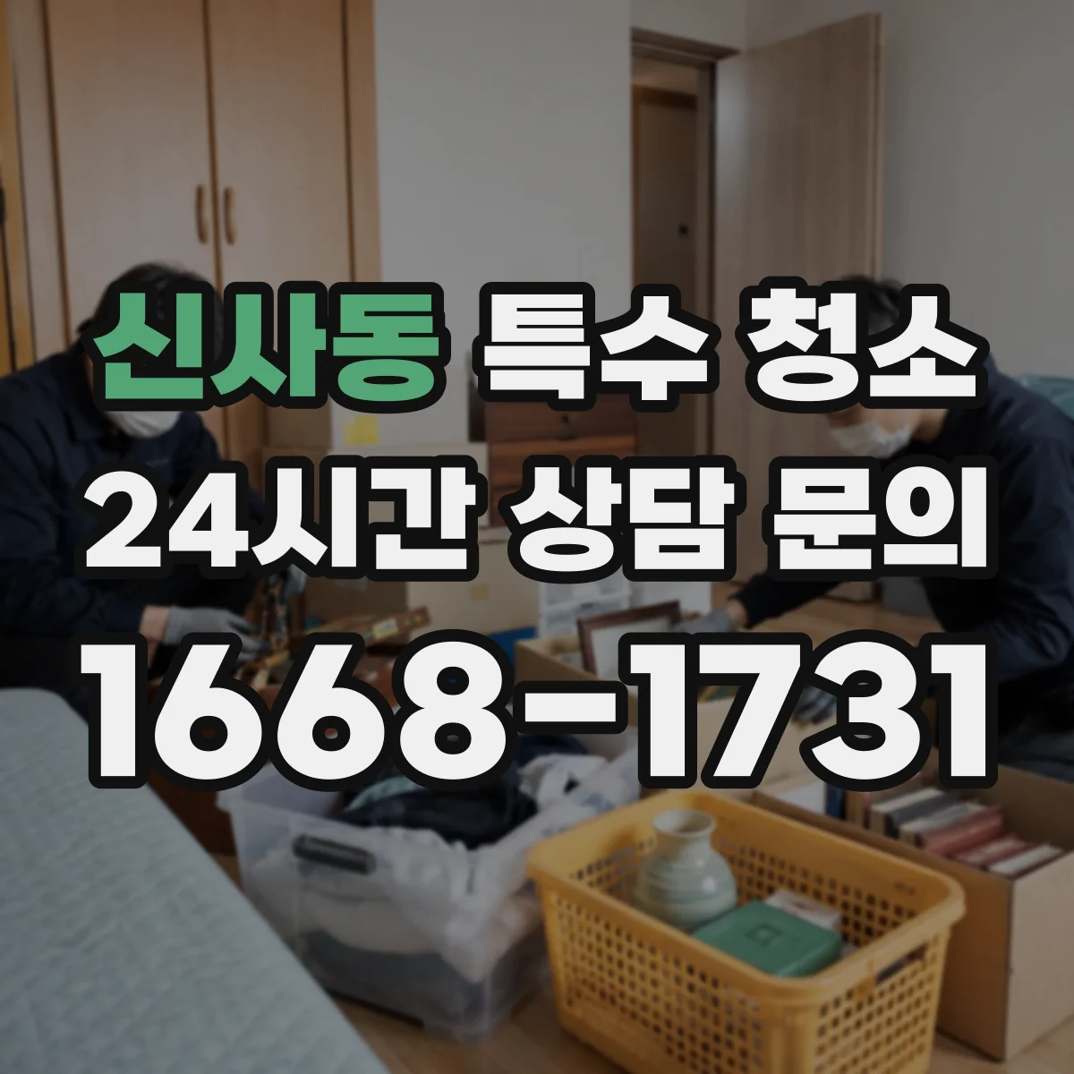 신사동 특수 청소
