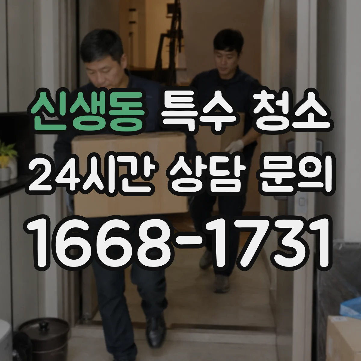 신생동 특수 청소