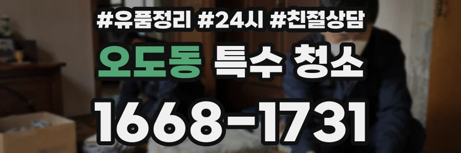 오도동 특수 청소