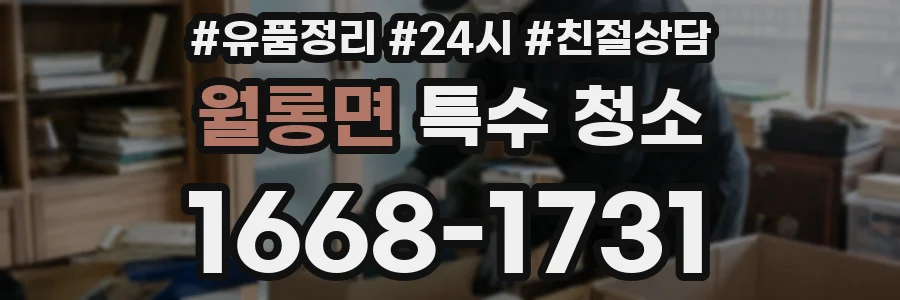 월롱면 특수 청소