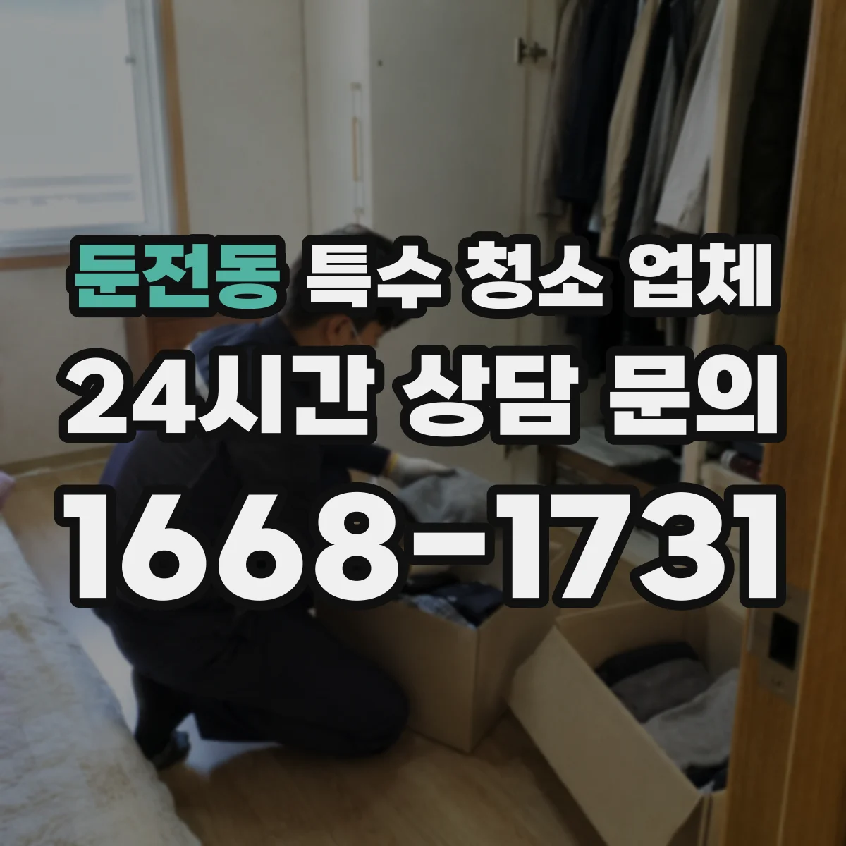 둔전동 특수 청소 업체