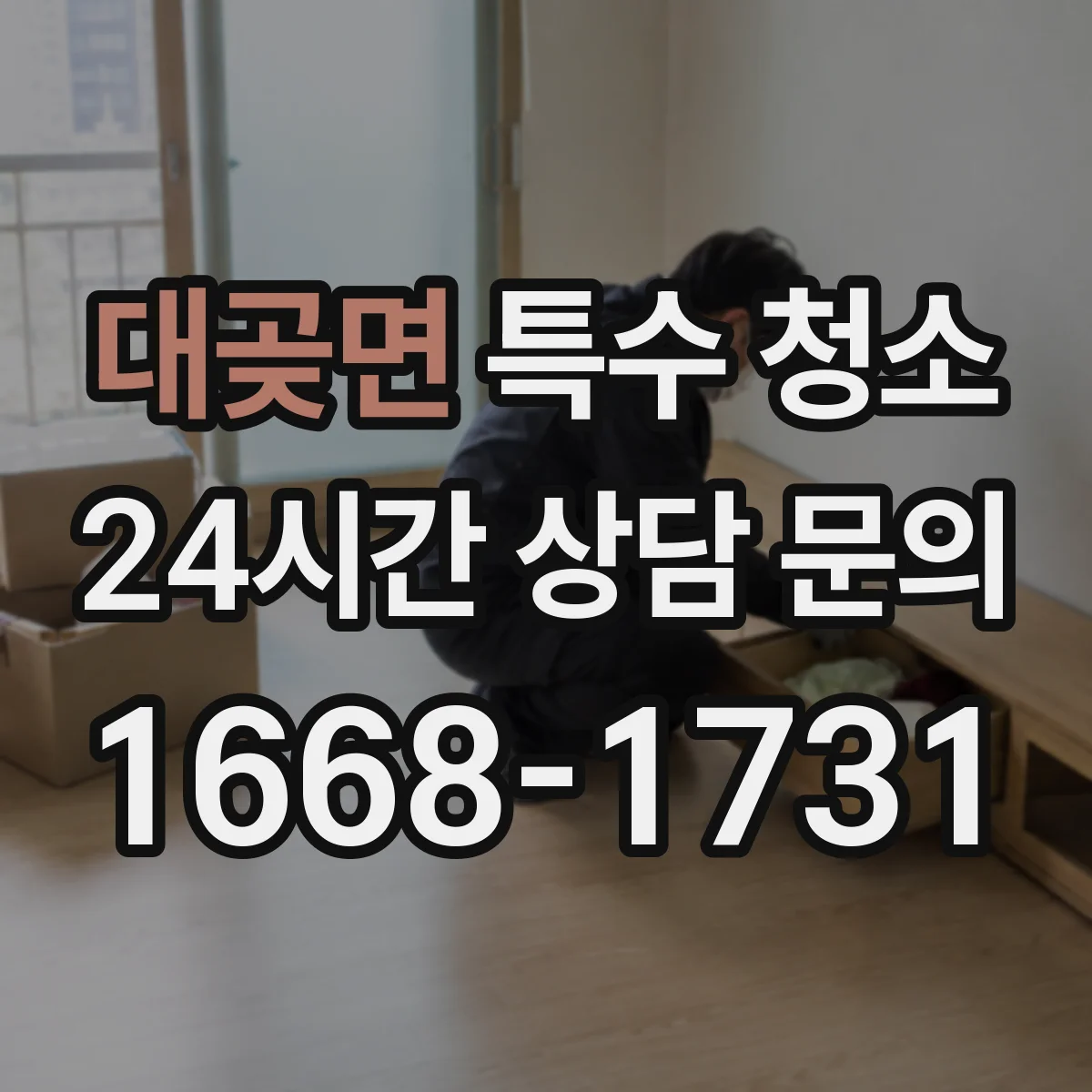 대곶면 특수 청소
