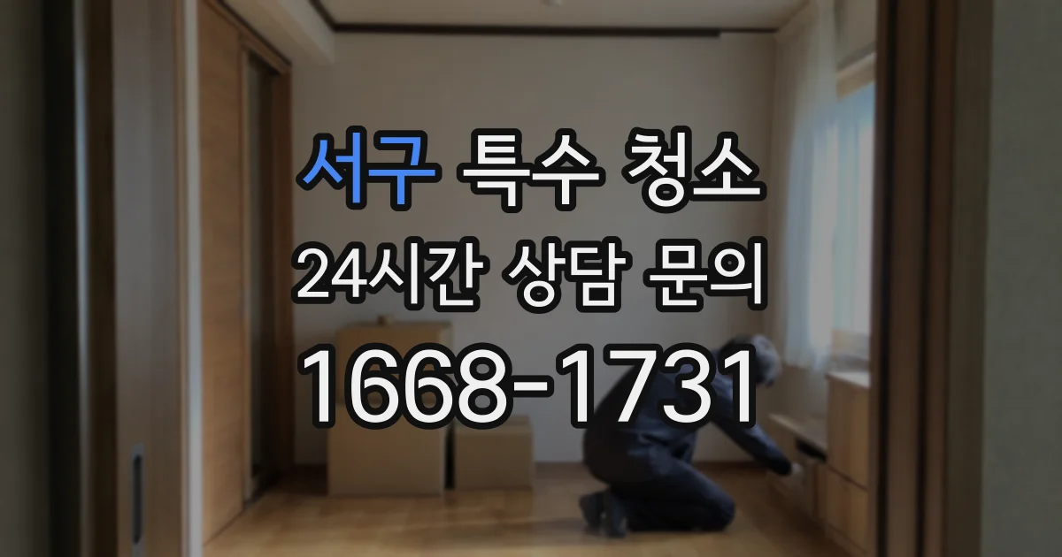 서구 특수 청소