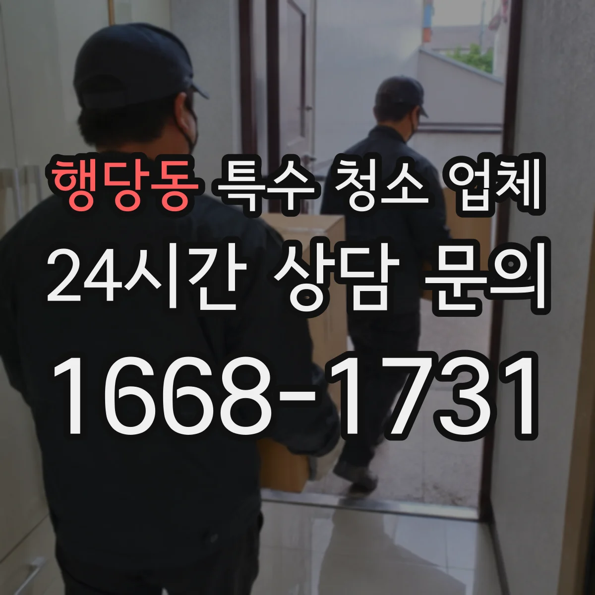 행당동 특수 청소 업체