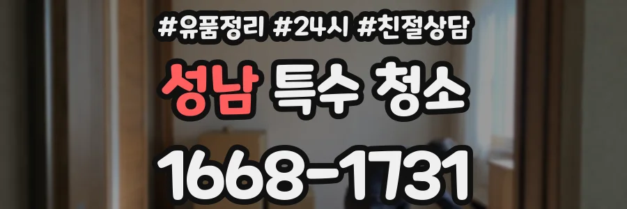 성남 특수 청소