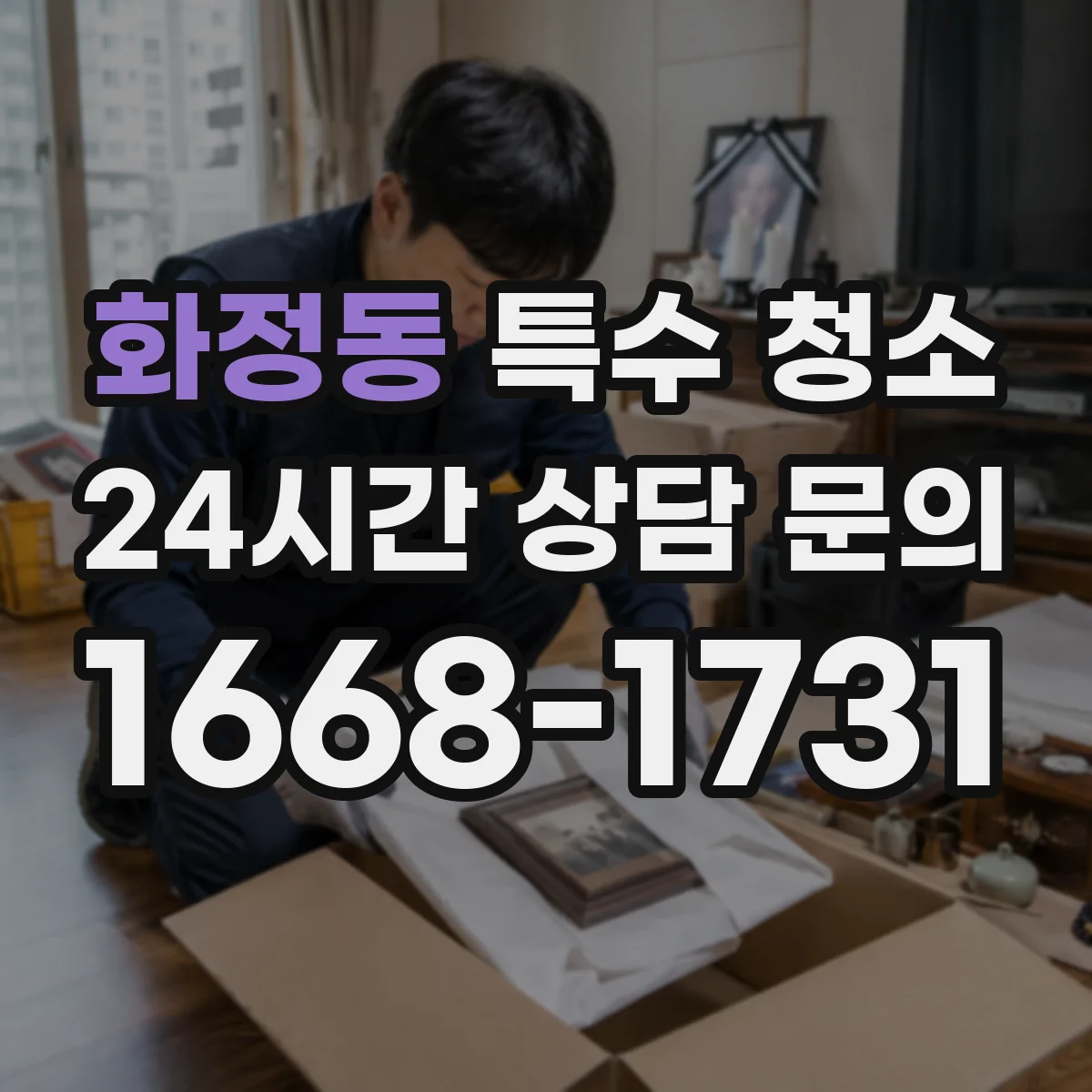 화정동 특수 청소