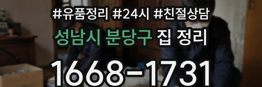 성남시 분당구 집 정리
