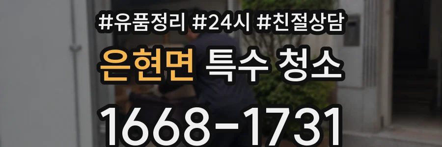 은현면 특수 청소