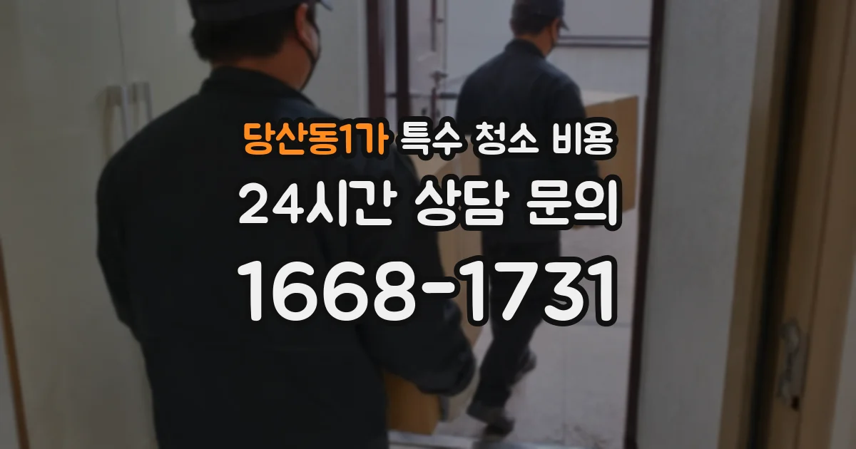 당산동1가 특수 청소 비용