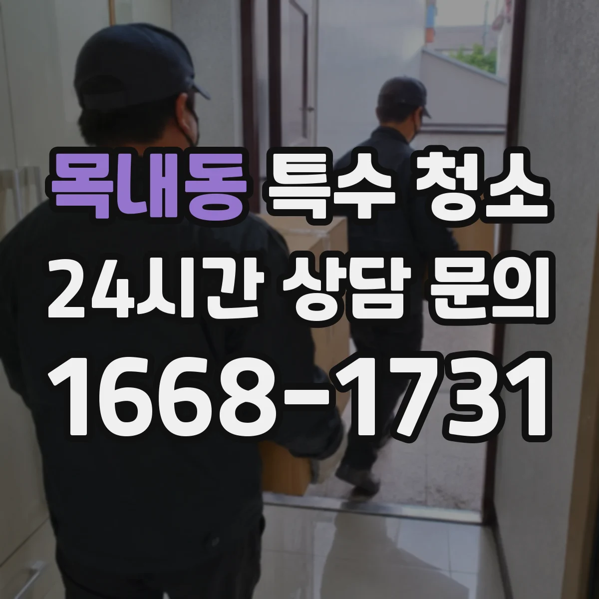 목내동 특수 청소