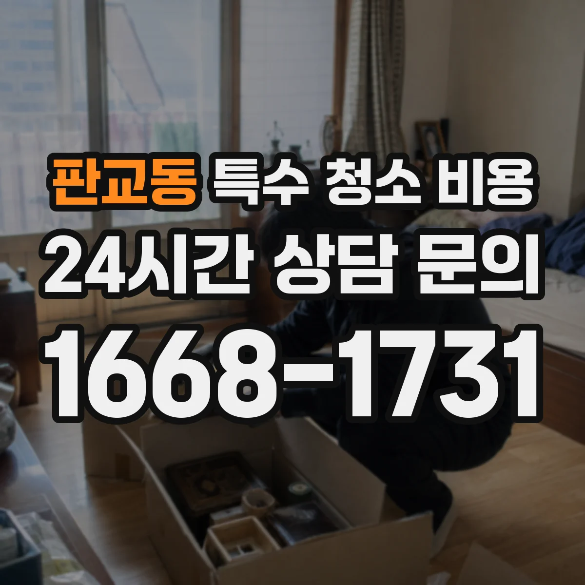 판교동 특수 청소 비용