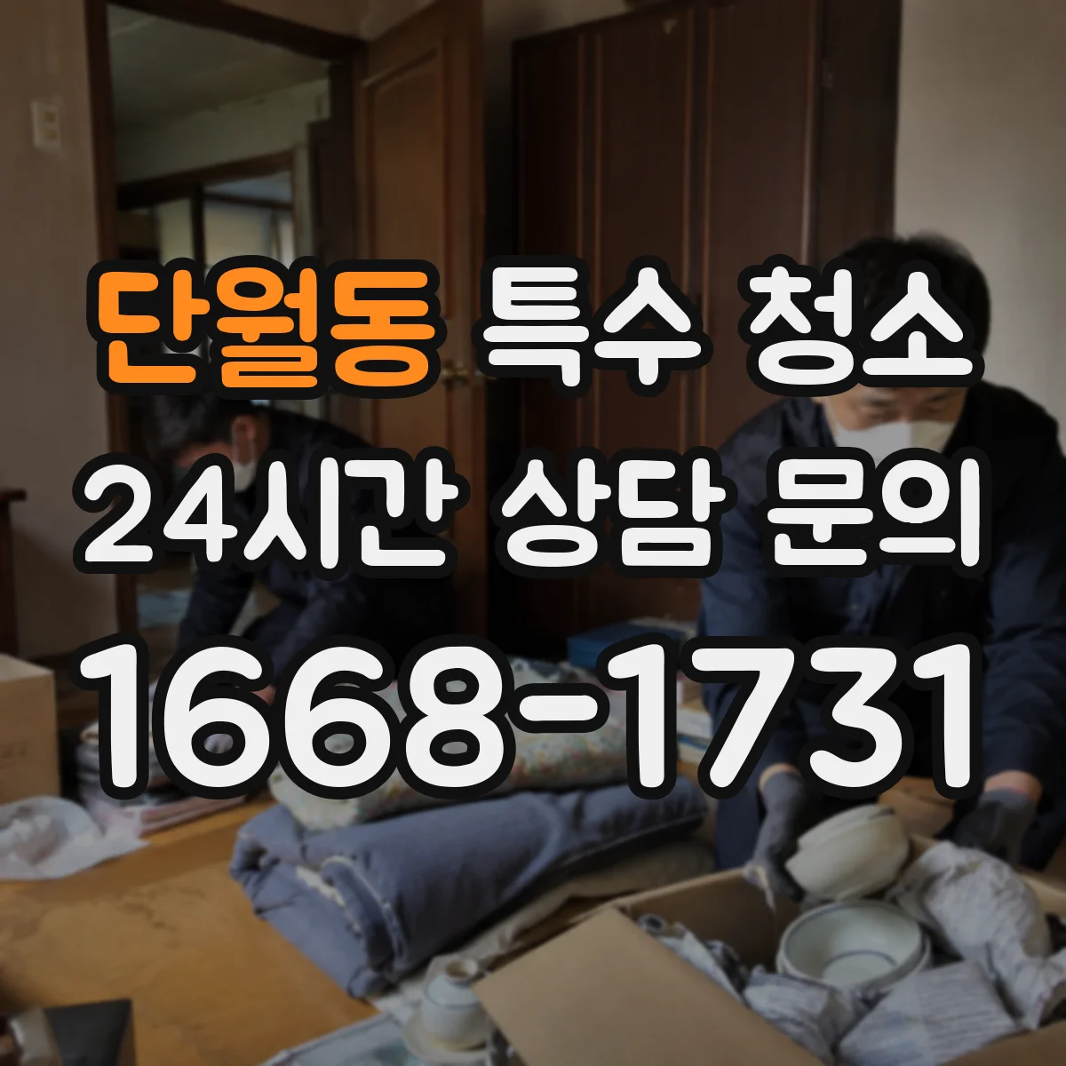 단월동 특수 청소