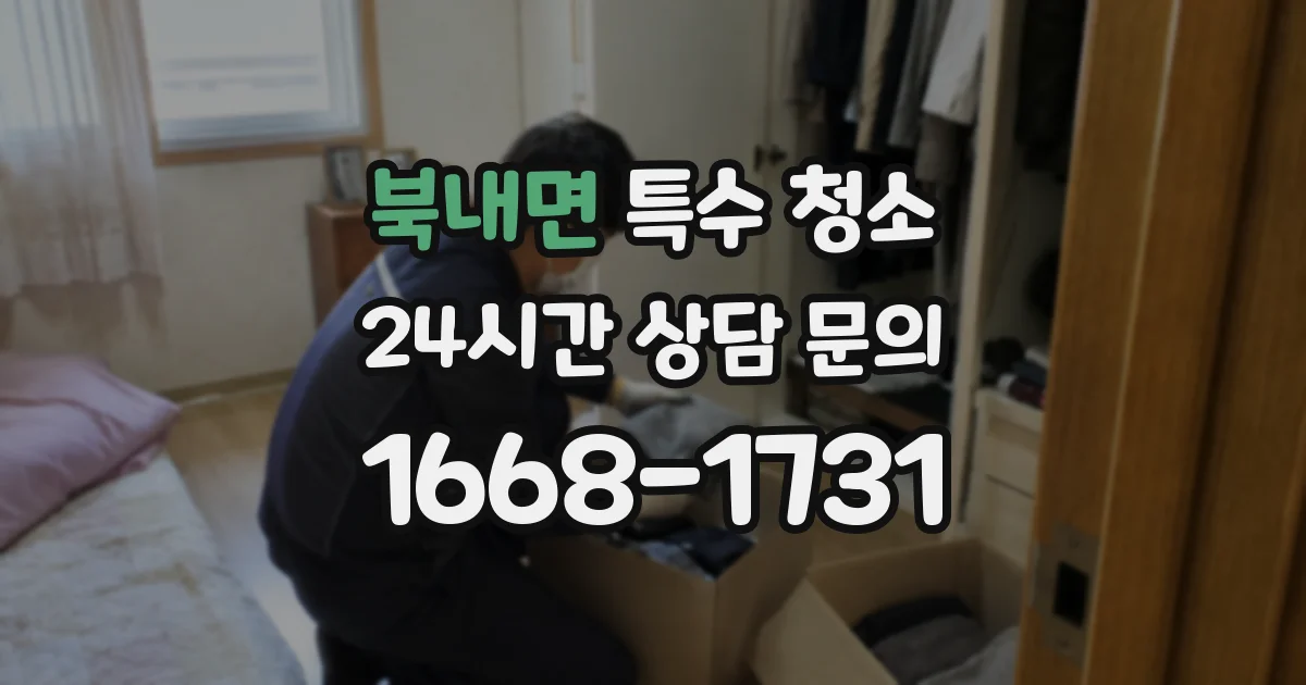 북내면 특수 청소