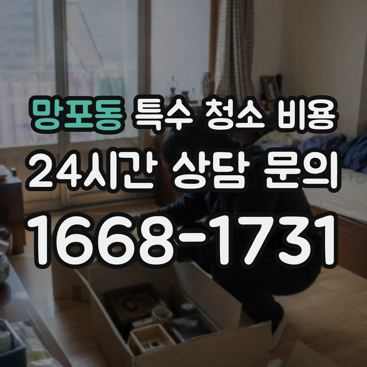 망포동 특수 청소 비용