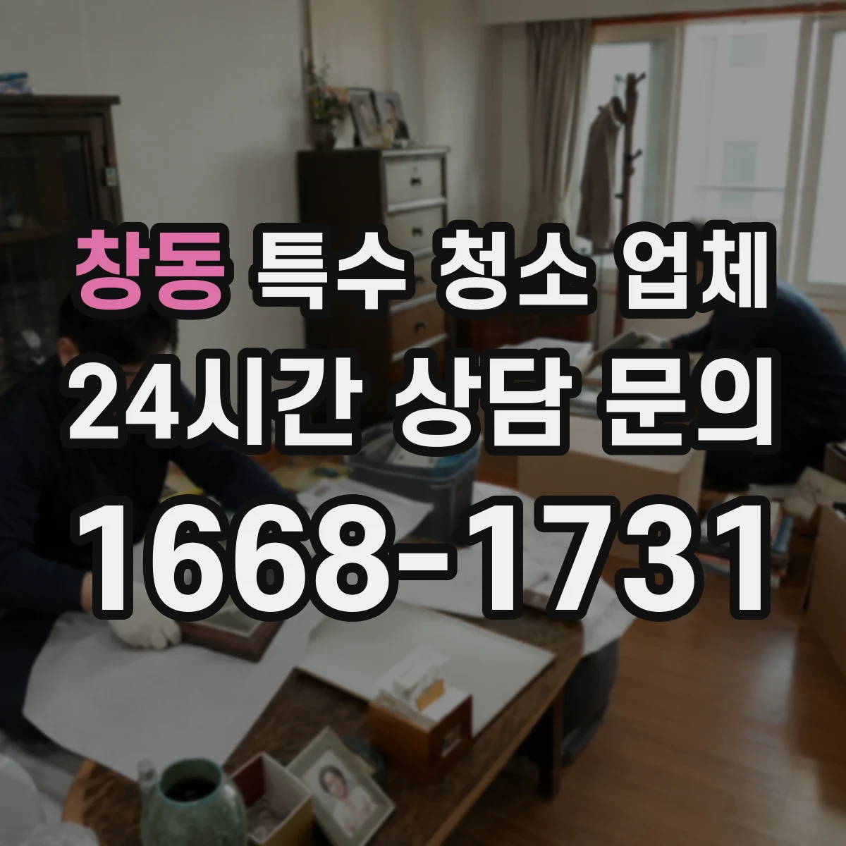 창동 특수 청소 업체