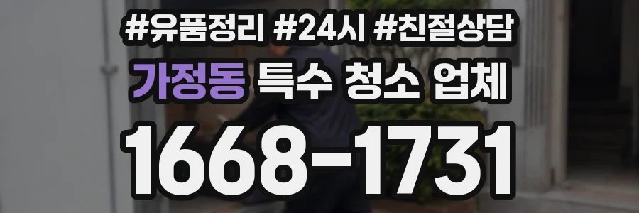 가정동 특수 청소 업체