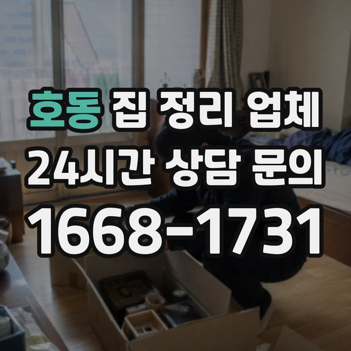 호동 집 정리 업체