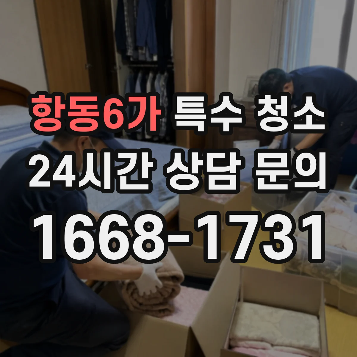 항동6가 특수 청소