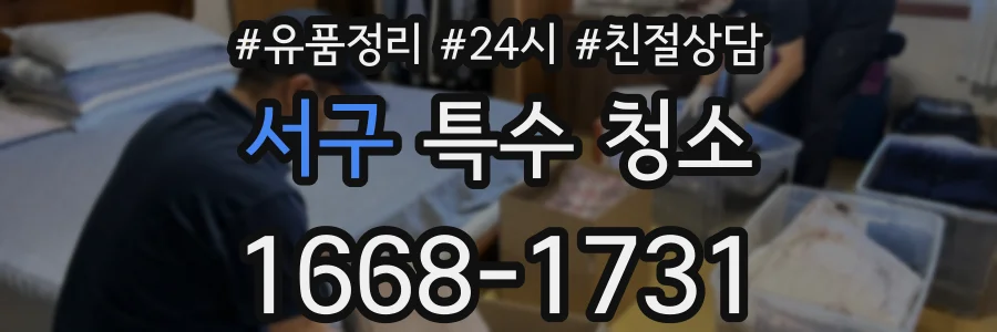 서구 특수 청소