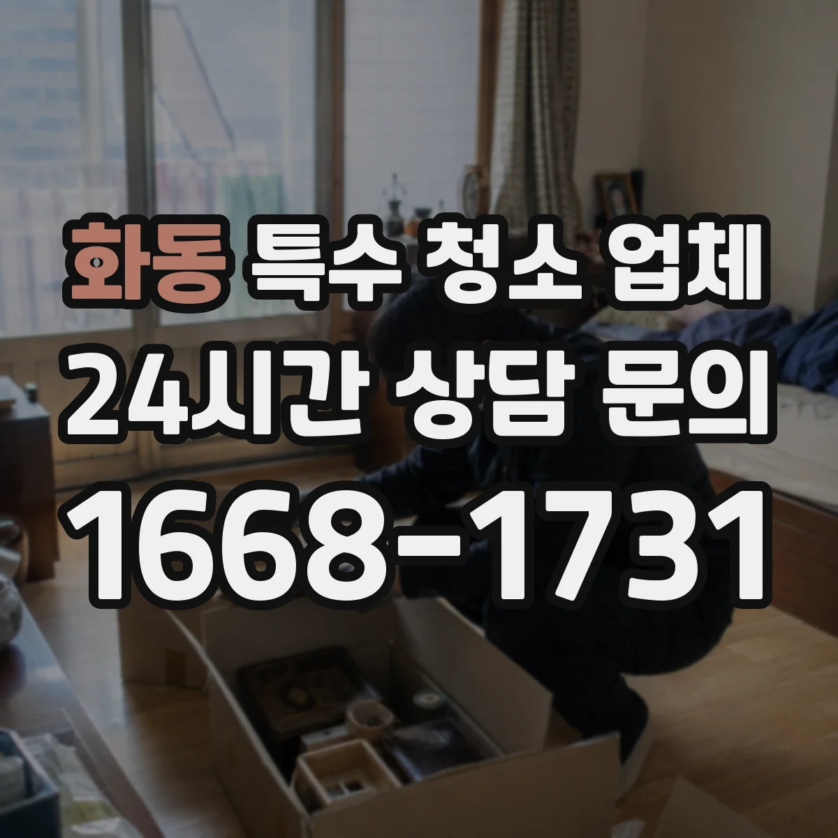 화동 특수 청소 업체