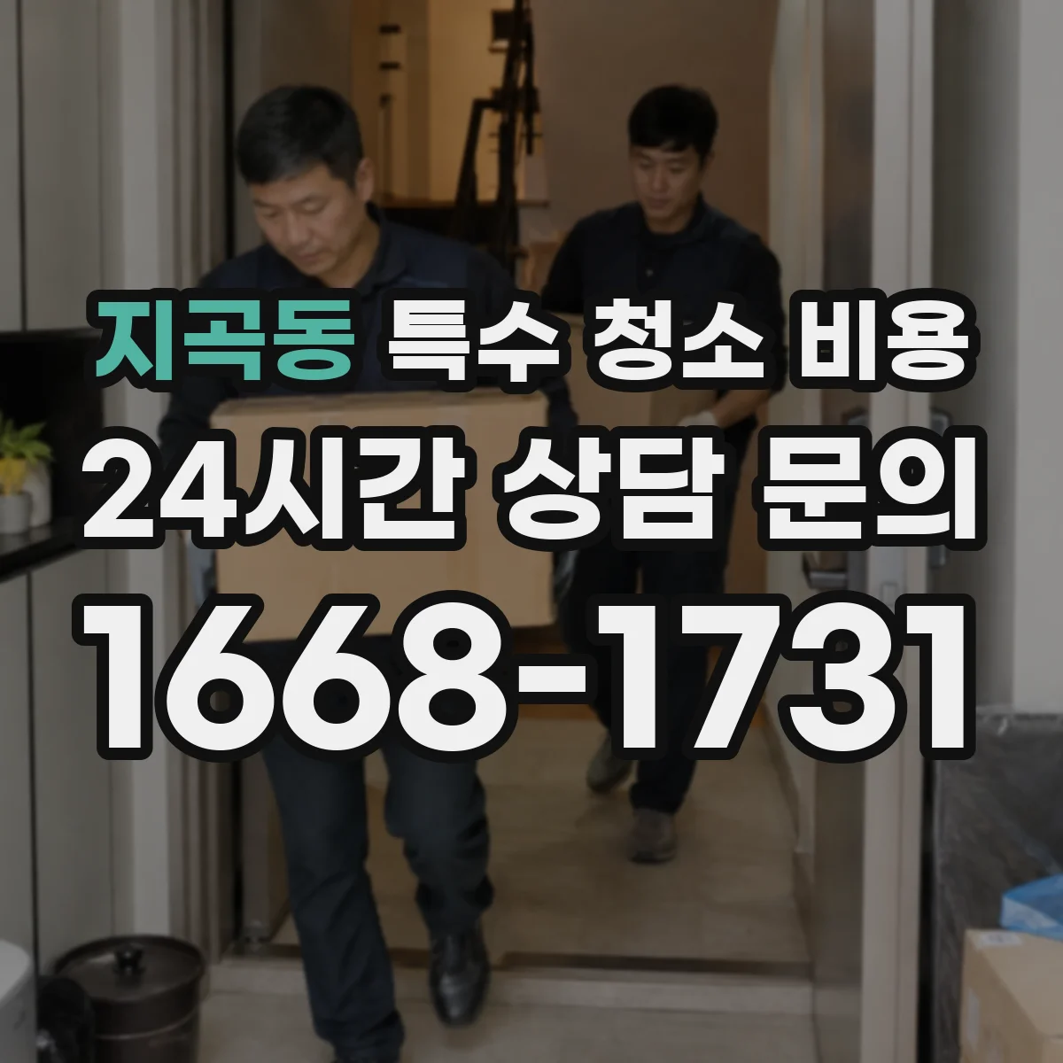 지곡동 특수 청소 비용