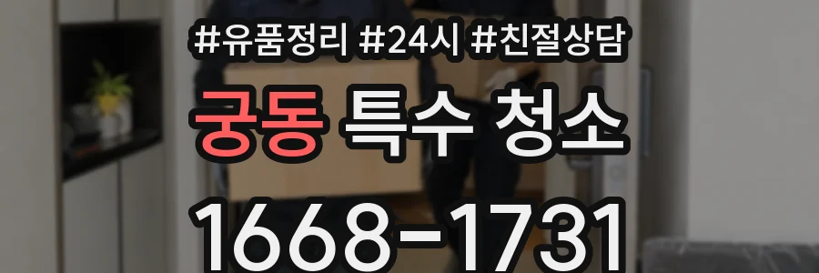 궁동 특수 청소