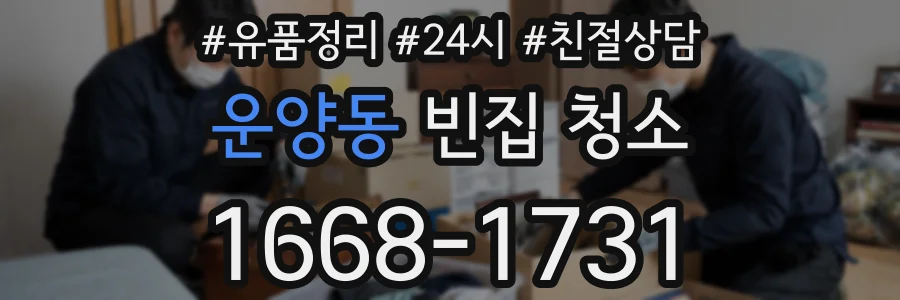 운양동 빈집 청소