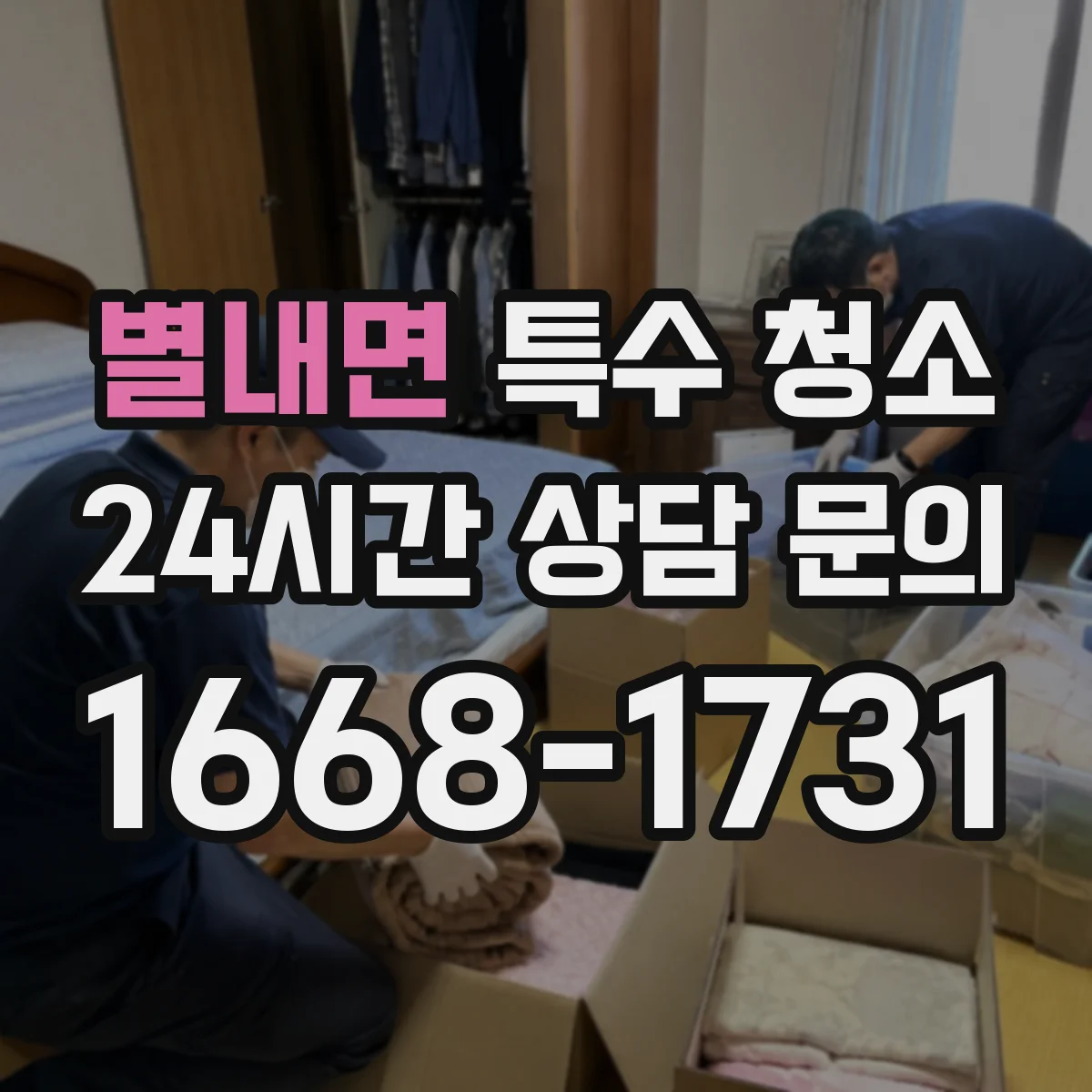 별내면 특수 청소