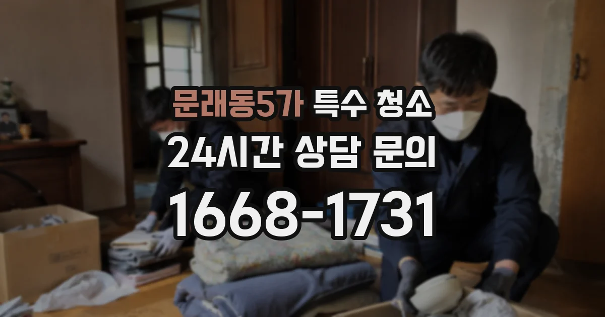 문래동5가 특수 청소