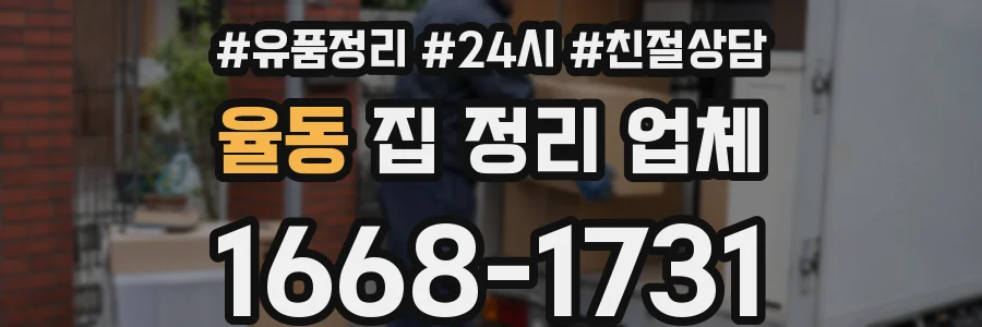 율동 집 정리 업체
