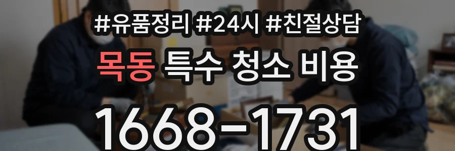 목동 특수 청소 비용