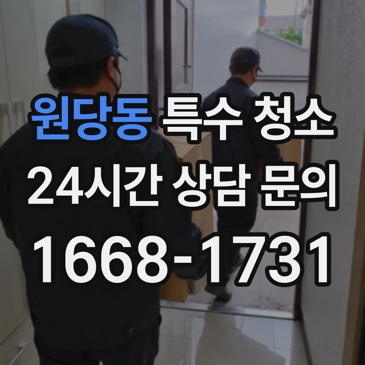 원당동 특수 청소