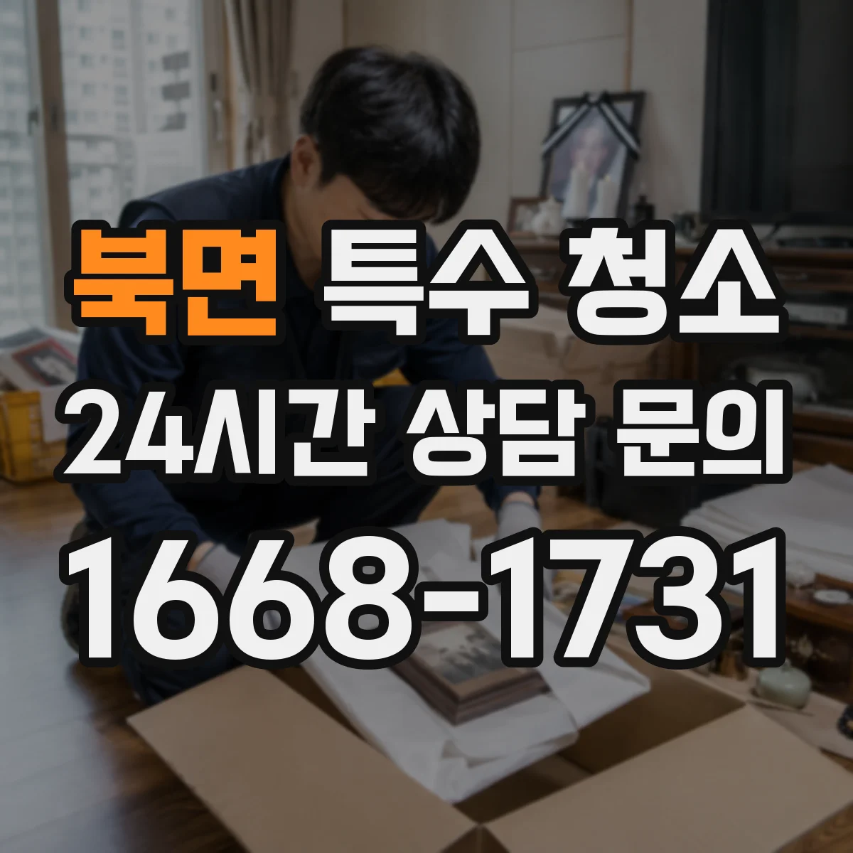 북면 특수 청소