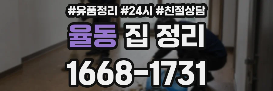 율동 집 정리