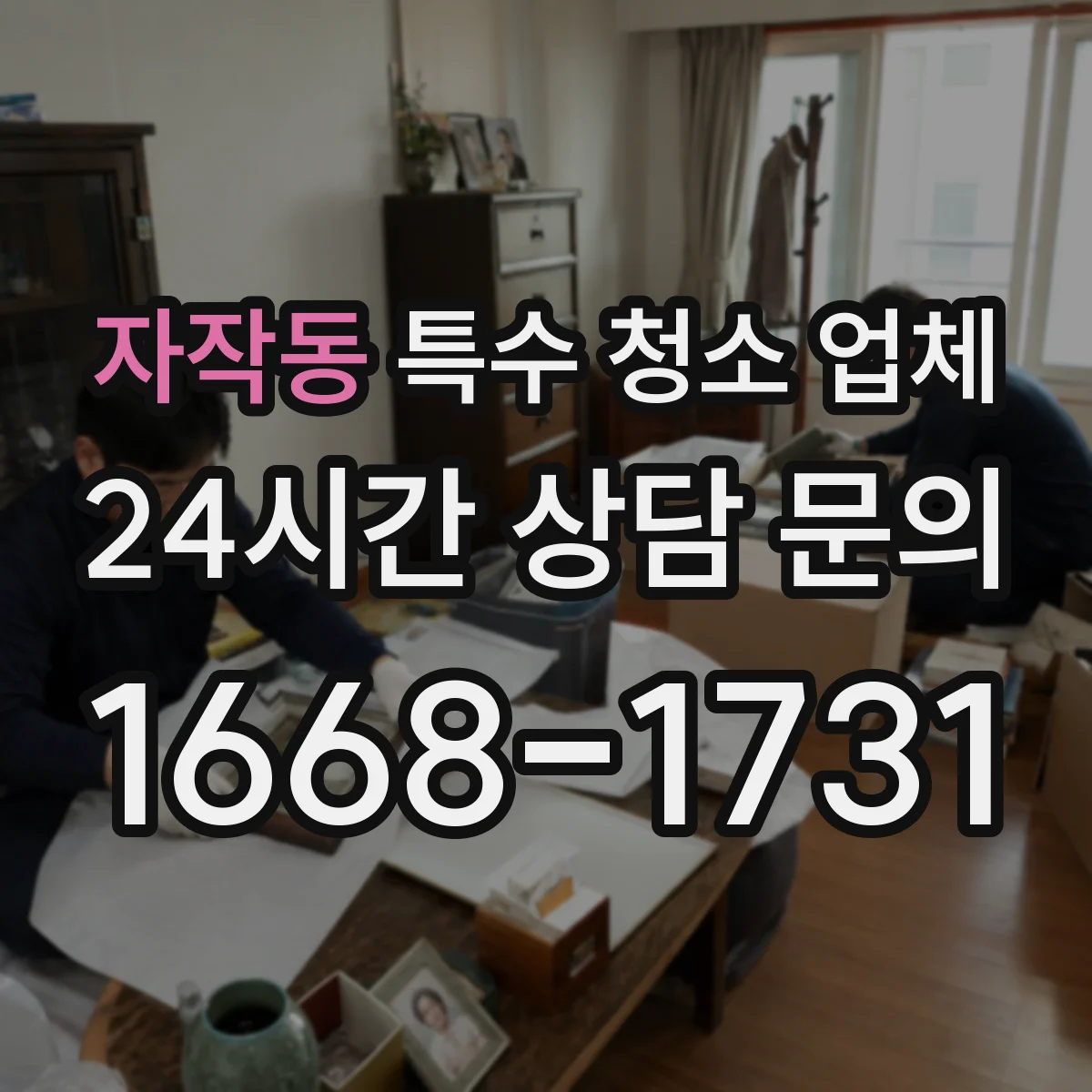 자작동 특수 청소 업체
