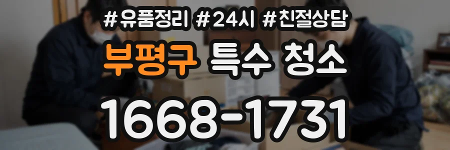 부평구 특수 청소