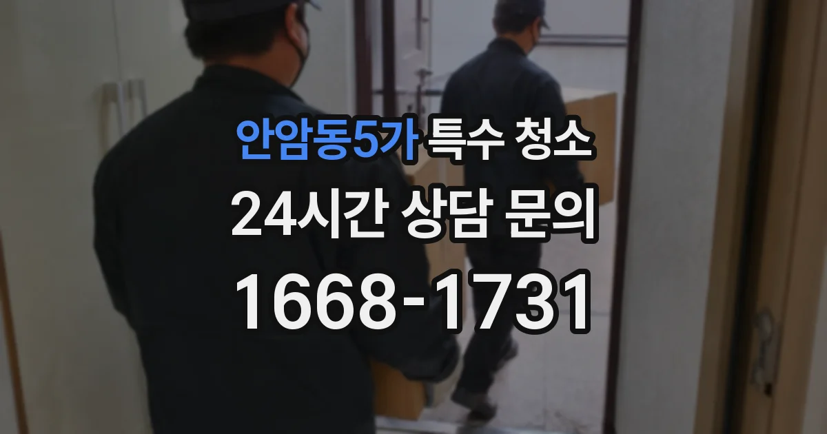 안암동5가 특수 청소