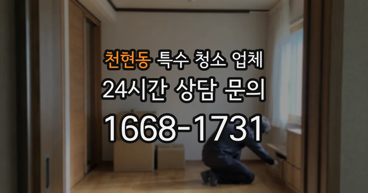 천현동 특수 청소 업체
