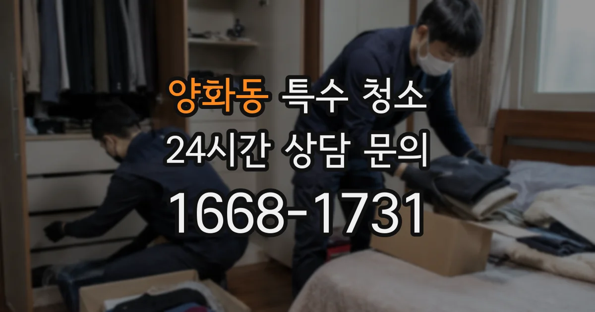 양화동 특수 청소