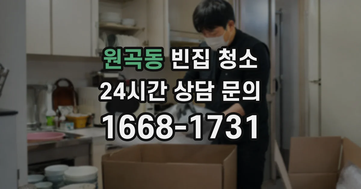 원곡동 빈집 청소